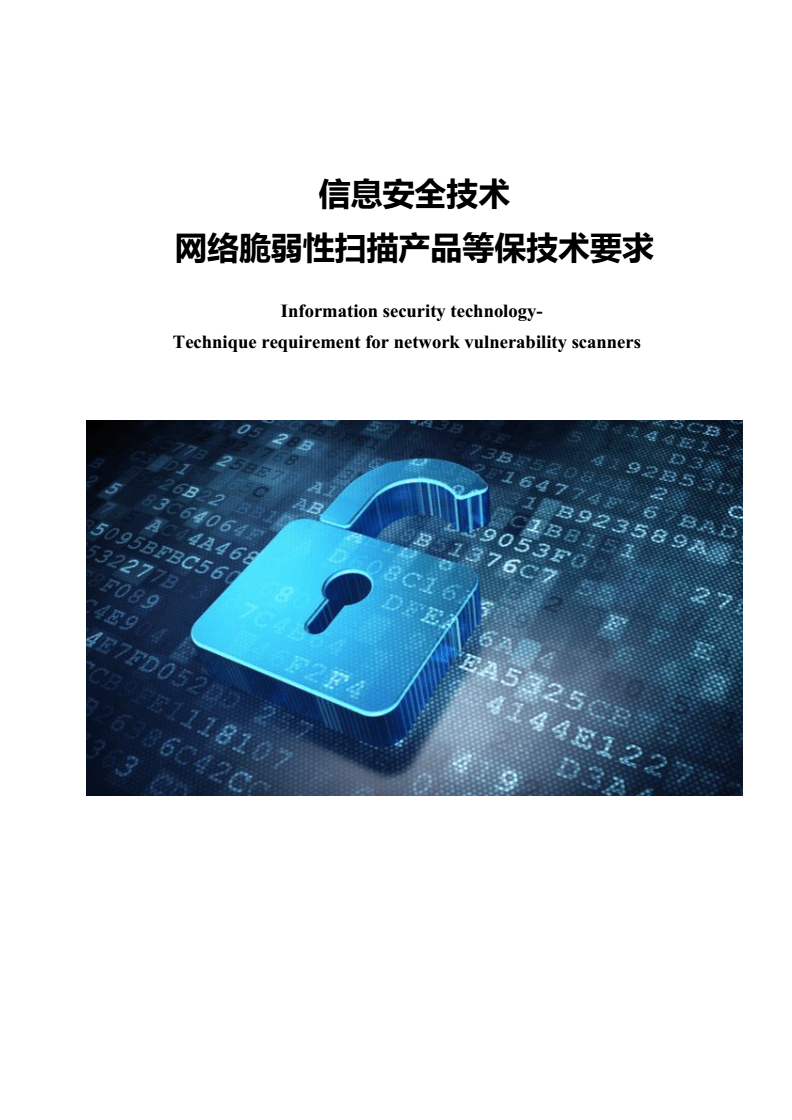 基于等保2.0的網絡脆弱性掃描產品技術要求與技術服務解析